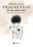 fragmentos de un alma rota