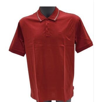 Armani Exchange Polo POLO HOMBRE para hombre
