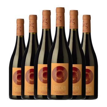 Puiggròs Vino Tinto Exedra Catalunya Joven 75 Cl 14% Vol. (pack De 6 Unidades)