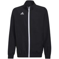 adidas chaqueta entrada 22 para nino
