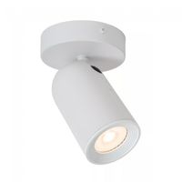 foco de techo orientable punch