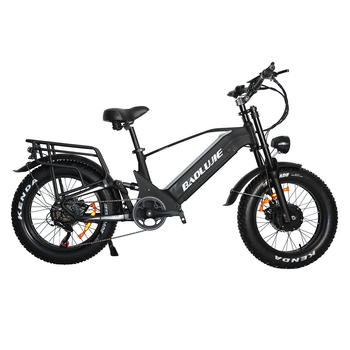 Bicicleta Eléctrica De Doble Motor Baolujie Dp-2011, Neumáticos 24x4, 48 V 20 Ah, Negra