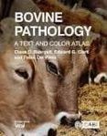 bovine pathology a text and color atlas
