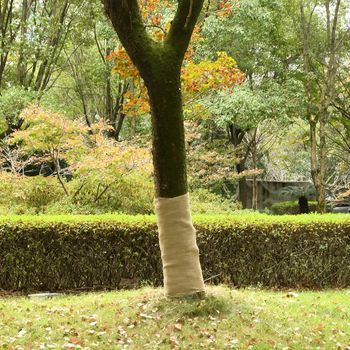 Vidaxl Rollo De Yute 1x25 M 100% Yute 200 Gsm