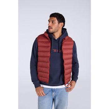Animal Chaquetas Light Cloud Cosi para hombre