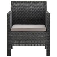 silla de jardin  silla de exterior  sillon con cojin pp ratan antracita