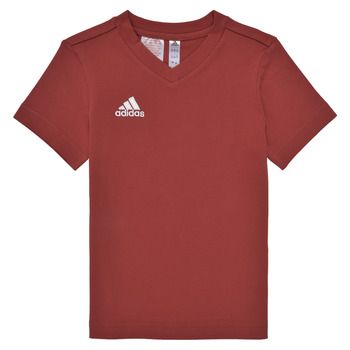adidas Camiseta ENT22 TEE Y para niño