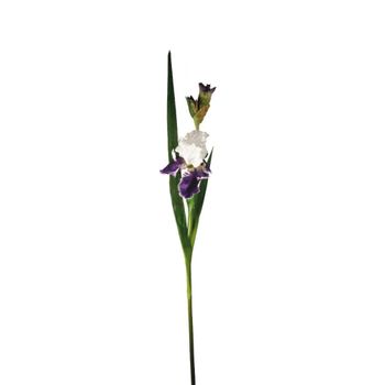 Tallo de iris artificial con hojas violetas y blancas h105
