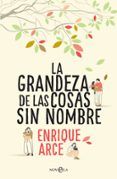 La grandeza de las cosas sin nombre