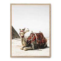 cuadro camel in egypt i