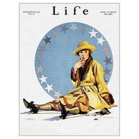 legendarte - cuadro lienzo impresion digital - life magazine november 1920 - c coles phillips - decoracion pared cm 40x50