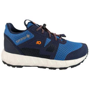 Zero C Shoes Zapatillas altas DRAGONPLAN GTX JNR 10051-0515 para mujer