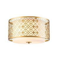 plafon de techo ziggy 2 luces