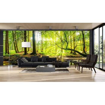 Oedim Fotomural Vinilo Adhesivo Bosque Primavera 600x300cm, Vinilo Adhesivo Decorativo Para Habitaciones, Decoración Para Paredes.