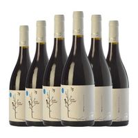 jordi miro vino tinto garnacha-syrah terra joven 75 cl 135 vol pack de 6 unidades
