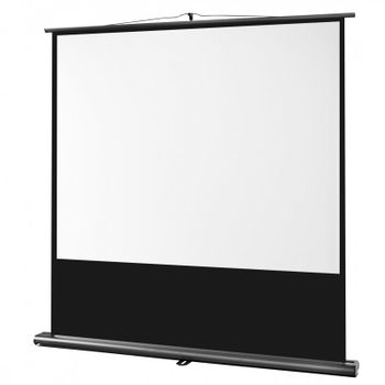 Celexon Ultramobile Professional Pantalla de Proyección 200x150cm