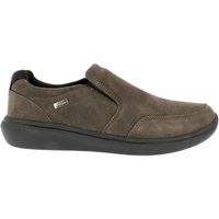 doctor cutillas zapatos 73503 marron para hombre
