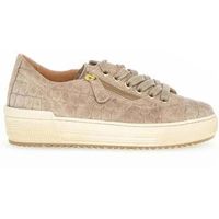 gabor zapatillas 76538 para mujer