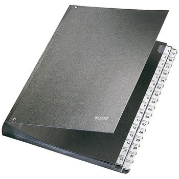 Leitz Carpeta clasificadora con 32 compartimentos pestañas 1-31 (A4)