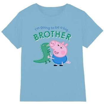 Dessins Animés Tops y Camisetas Big Brother para niño