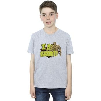 Marvel Tops y Camisetas I Am Groot para niño