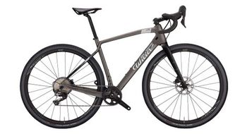 Bicicleta de gravilla wilier triestina jena shimano grx 11s 700 mm gris ahumado mate