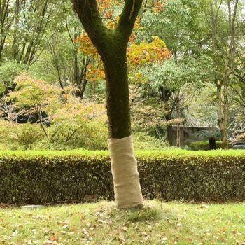 Vidaxl Rollos De Yute 2 Unidades 1x50 M 100% Yute 200 Gsm