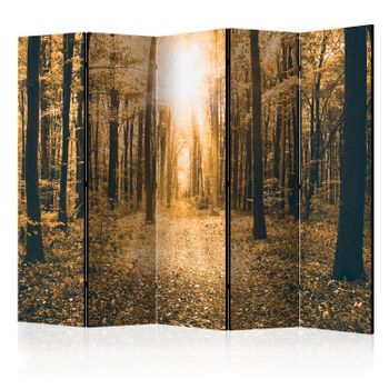 Biombo - Magical Light Ii (225x172 Cm)