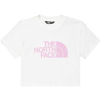 the north face camiseta easy para hombre