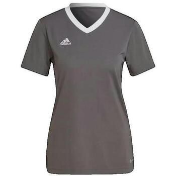 adidas Camiseta T-shirt Entrada 22 pour femme para mujer