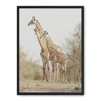 cuadro giraffe in the savana ii