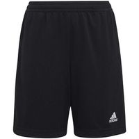 adidas short nino ent22 tr shoy para nino