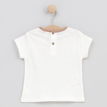 cotton fish Tops y Camisetas 90744 para niño