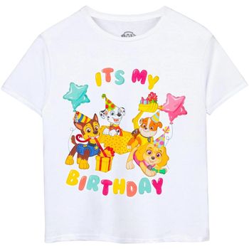 Dessins Animés Camiseta It's My Birthday para niño