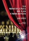 La miscelánea de las emociones