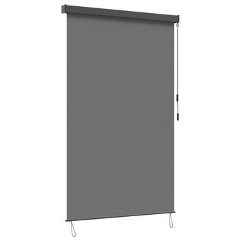 Estor Enrollable Gris Claro 120 X 250 Cm Tela Y Aluminio Vidaxl