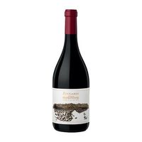 zuccardi vino tinto finca piedra infinita mendoza 75 cl 14 vol