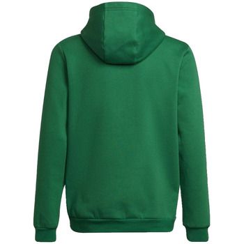adidas Jersey Sweat entrada 22 vert para mujer
