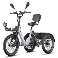 bicicleta electrica fafrees f20 mate ii - motor 250w bateria 48v25ah 20 pulgada neumaticos freno de disco hidraulico - gris plateado