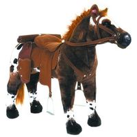 caballo de vaquero anglo arabe