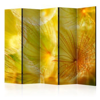 Biombo - Soft Dandelion Flower Ii (225x172 Cm)