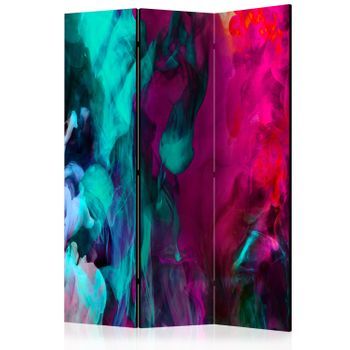 Biombo - Color Madness [room Dividers]