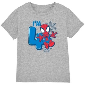 Marvel Tops y Camisetas Cute Spidey para niño