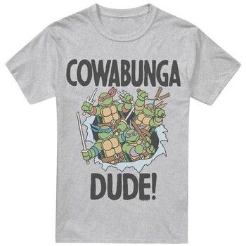 Teenage Mutant Ninja Turtles Camiseta Cowabunga Dude para hombre