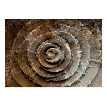 Papel Pintado 3d - Rosa Del Desierto (350x245 Cm)