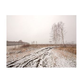 Papel Pintado 3d - Winter Field (350x270 Cm)
