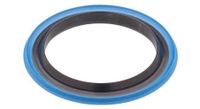 canecreek 110 series horquilla cono 41   42 mm aleacion corona race