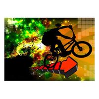 papel pintado 3d - bicycle tricks 250x175 cm