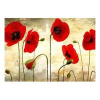 papel pintado 3d - amapolas pintadas 350x270 cm