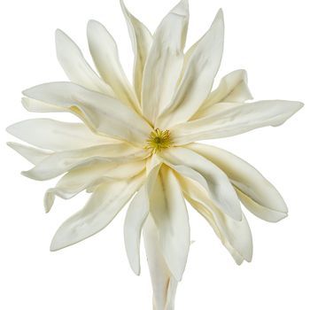 Set 6 Flores Artificiales Blanco